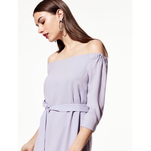 π NWT Babaton Brightwell OTS Dress from Aritzia - Picture 5 of 7
